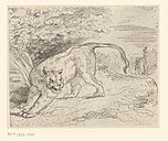 Trapped tiger, Delacroix, 1854
