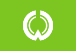 Iiyama