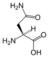 L-Asparagine