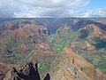 Image 18Waimea Canyon, Hawaii, is known for its montane vegetation. (from Montane ecosystems)