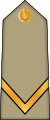 Sergent (Arabic: رقيب, romanized: Raqib) (Algerian Land Forces)[23]