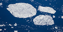 Several ice floes in the Hudson Strait