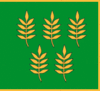 Flag of Skaistgirys