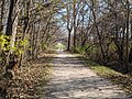 Kal-Haven Trail facing east.