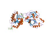 2i6s: Complement component C2a