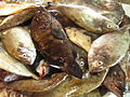 more fish at Ubay, Bohol Public Market