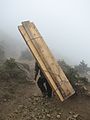 夏尔巴人搬运工在珠穆朗玛峰附近的喜马拉雅山脉中搬运木头
