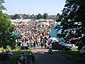 Strawberry Fair 2007, Cambridge