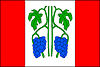 Flag of Chuchelná