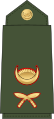Lieutenant Nepali: उपसेनानी, romanized: Upasēnānī (Nepali Army)[58]