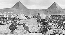A soldier plays with a kangaroo, while in the middle distance other soldiers are formed up in ranks in front of tents. Two large pyramids are partially obscured by a large hill in the background.
