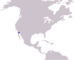 Vaquita range