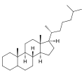 胆甾烷5α-胆甾烷，共同的类固醇核心结构。这种5α类固醇是一种C-27的烃类固醇具有完整ABCD环系统。其特征包括连接在C-10和C-13两个轴向甲基基团，和连接在C-17一个8个碳的侧链。这个共同的碳骨架存在于胆固醇以及许多其他类固醇中。