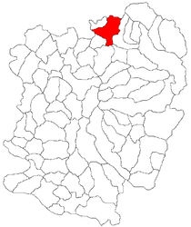 Location in Caraș-Severin County