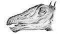 Classic rendering of diplodocus head