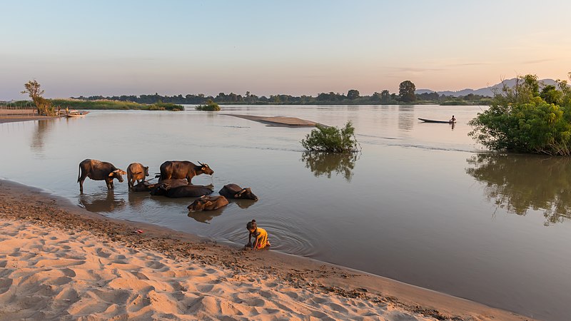 日落时从老挝四千岛拍摄的湄公河岸边一景。