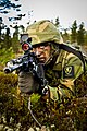 Soldier of Telemark Battalion, Norwegian Armed Forces