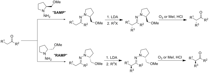 Enders' SAMP/RAMP Hydrazone Alkylation Reaction