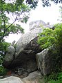 中國浙江省普陀山的「二龜聽法石」