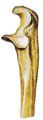 Blank, colored, with transparent background