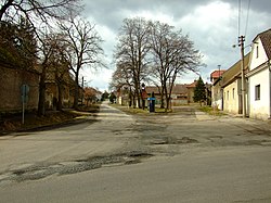 Common in Ptice