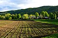 Image 5A plowed field in Bethel, Vermont (from New England)