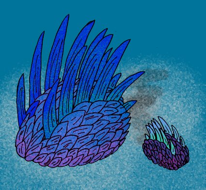 A reconstruction (drawing) of the appearance of Wiwaxia corrugata.