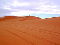 Coral Pink Sand Dunes State Park