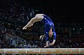Image 1 Daniele Hypólito Photograph credit: Fernando Frazão Daniele Hypólito (born September 8, 1984) is a Brazilian gymnast who competed in the 2000, 2004, 2008, 2012, and 2016 Summer Olympics. This photograph depicts Hypólito performing on the balance beam in the final of the women's artistic team all-around event at the 2016 Olympics in Rio de Janeiro, in which Brazil finished in eighth place. More selected pictures