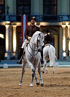 Rider wearing a bicorne at the Spanish Riding School in Vienna, 2006.