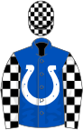 Royal blue, white horseshoe, black and white checked sleeves, checked cap