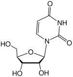 Skeletal formula of uridine