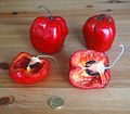 Red Rocoto fruit cross section showing black-seeded fruit