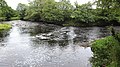 Confluence of the Lugar and Ayr rivers, Barskimming, Ayrshire