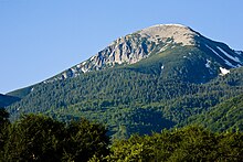 a conifer-covered mountain with a bare, rounded top