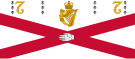 Flag of the Royal College of Surgeons in Ireland