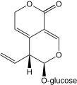 Gentiopicroside (gentiopicrin), a selected constituent of Gentiana