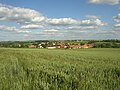 Agricultural landscape near Makotřasy