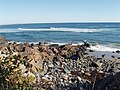 The beach along the Marginal Way, 2008