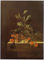 Adriaen Coorte Still life with a spray of gooseberries