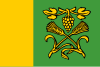 Flag of A Teixeira