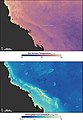 Image 36Sea temperature and bleaching of the Great Barrier Reef (from Environmental threats to the Great Barrier Reef)