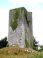 Image 17A tower house near Quin, County Clare. The Normans consolidated their presence in Ireland by building hundreds of castles and towers such as this. (from History of Ireland)