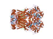 1pp9: Bovine cytochrome bc1 complex with stigmatellin bound