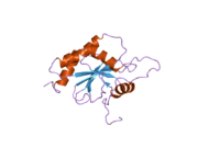 2gvp: Solution structure of Human apo Sco1