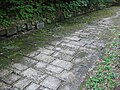 Paved Dacian road