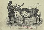 Pack reindeer with Sami driver from The land of the midnight sun, c. 1881