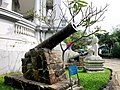 阮朝时期的大炮