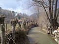 Traditional flood protection on the Trotuş River