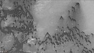 火星勘测轨道飞行器背景相机显示的坑内沙丘，注：这是前一幅图像的放大。
